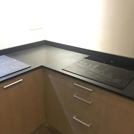 Les Lauriers Du Loft Pazayac