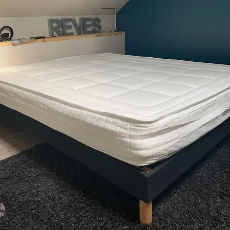 Les Lauriers Du Loft Pazayac