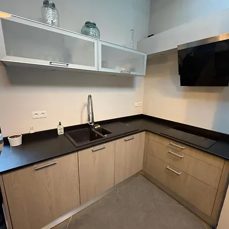 Appartement Les Lauriers Du Loft Pazayac