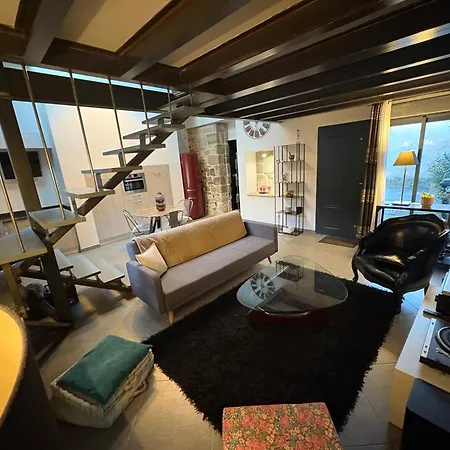 Appartement Les Lauriers Du Loft Pazayac