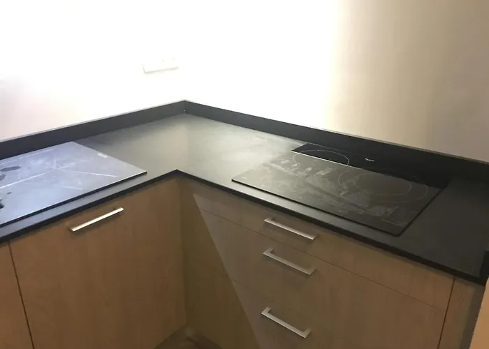 Les Lauriers Du Loft Pazayac