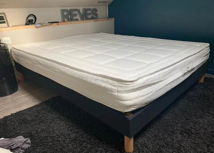 Les Lauriers Du Loft Pazayac